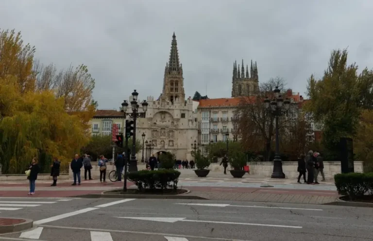 Platos típicos de Burgos: qué y dónde comer