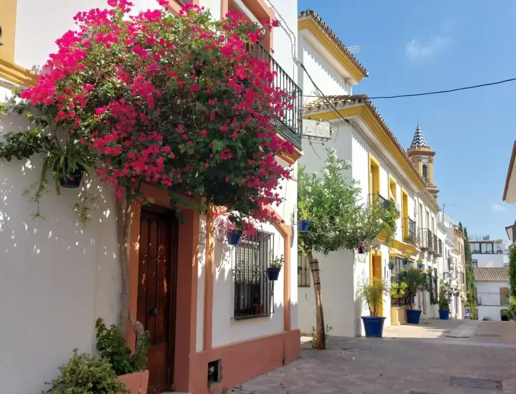 Qué hacer en Estepona en un día